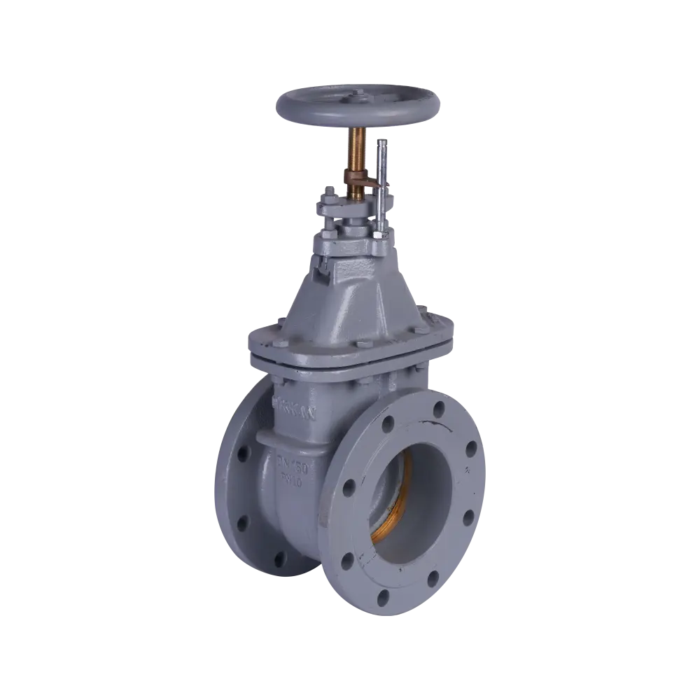 Задвижка клинкетная DN150 PN10, чугун GG-25 (DIN), Тип 004 150