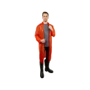 Категория