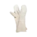 Категория